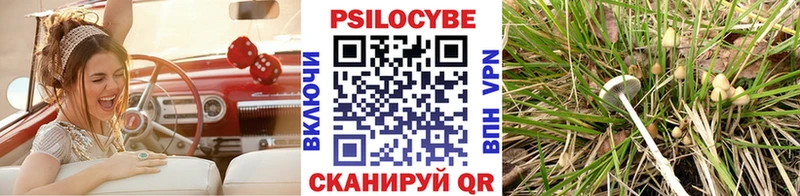 Купить Галич Псилоцибиновые грибы MAGIC MUSHROOMS